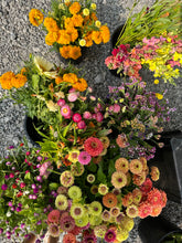 Load image into Gallery viewer, Wild Blooms Flower Club
