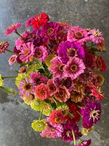 10-week Summer Flower CSA