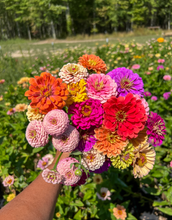 Load image into Gallery viewer, 5-week Half Summer Flower CSA
