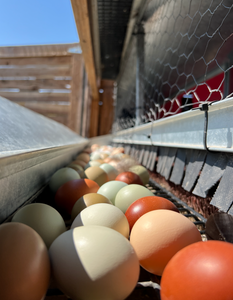 Egg Subscription
