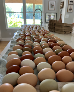 Egg Subscription