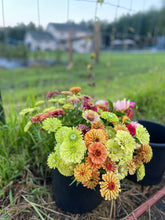 Load image into Gallery viewer, DIY Flower Buckets
