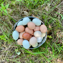 Load image into Gallery viewer, Eggs (1 dozen)
