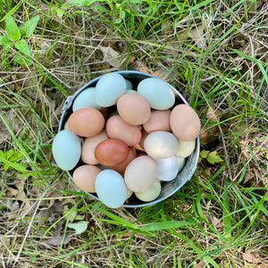 Eggs (1 dozen)