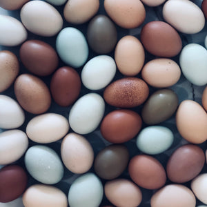 Eggs (1 dozen)