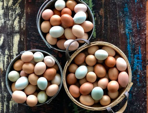 Eggs (1 dozen)